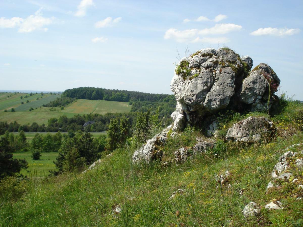 Villa Jura Pokoje Goscinne Zarki Buitenkant foto