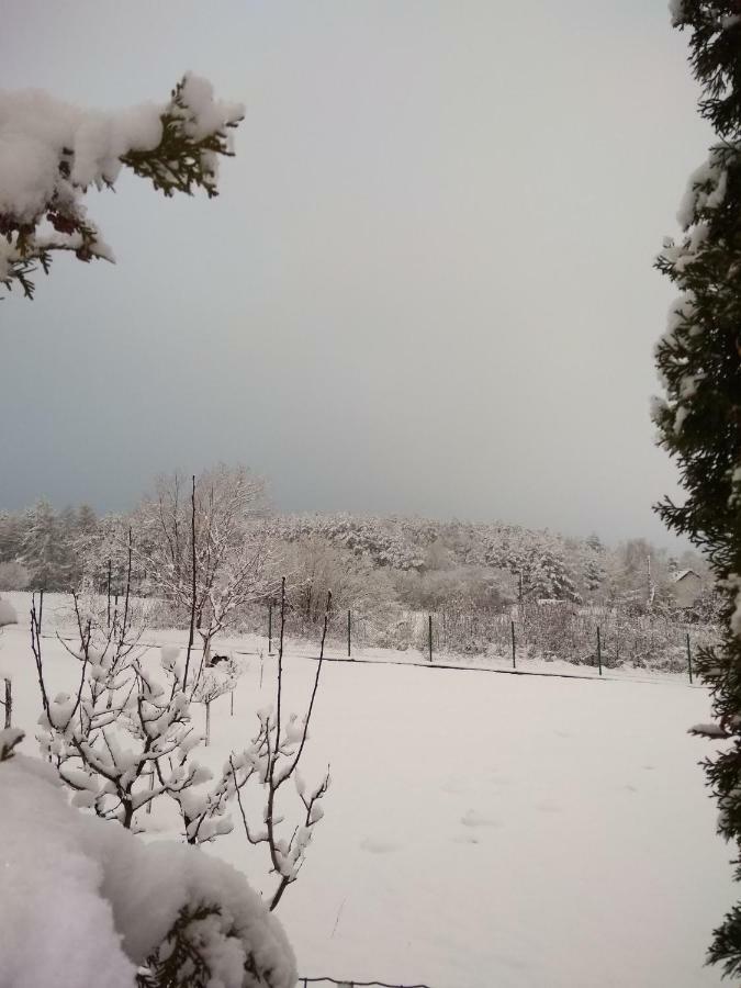 Villa Jura Pokoje Goscinne Zarki Buitenkant foto